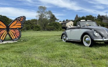 Volkswagen-1500-Cabriolet-1962-19