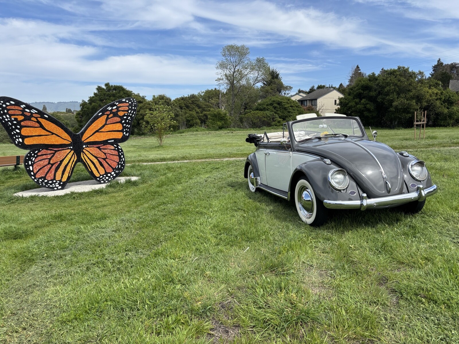 Volkswagen-1500-Cabriolet-1962-22