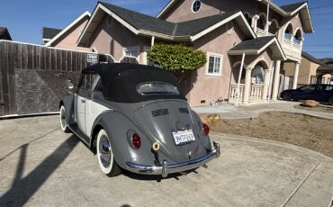 Volkswagen-1500-Cabriolet-1962-8
