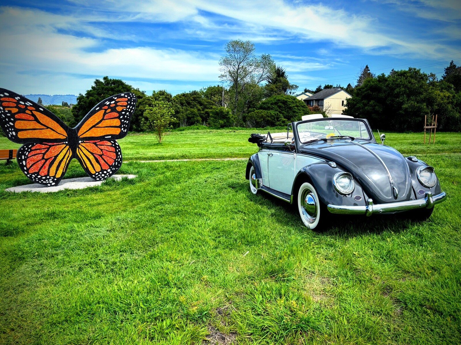 Volkswagen-1500-Cabriolet-1962
