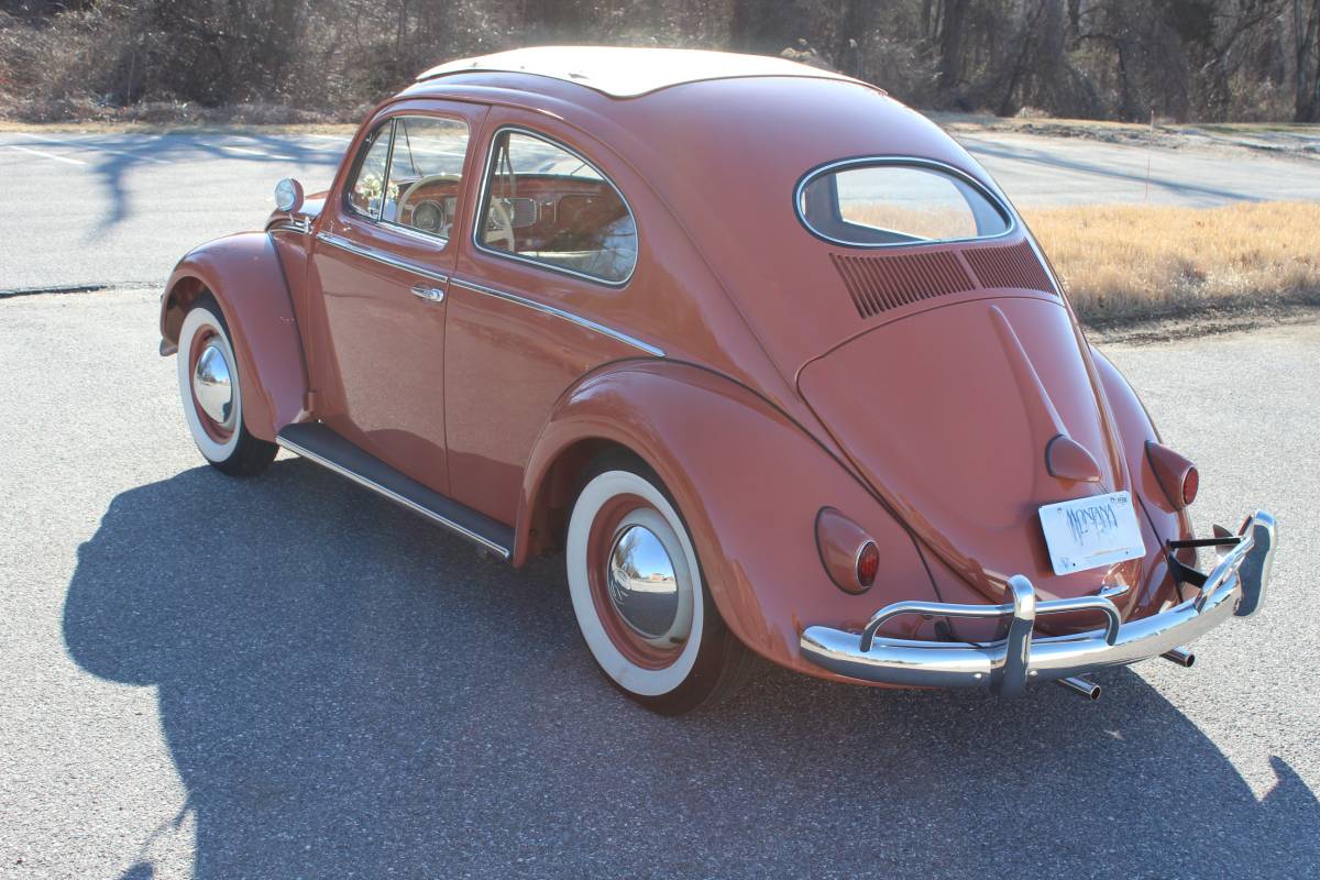 Volkswagen-Beetle-1957-3