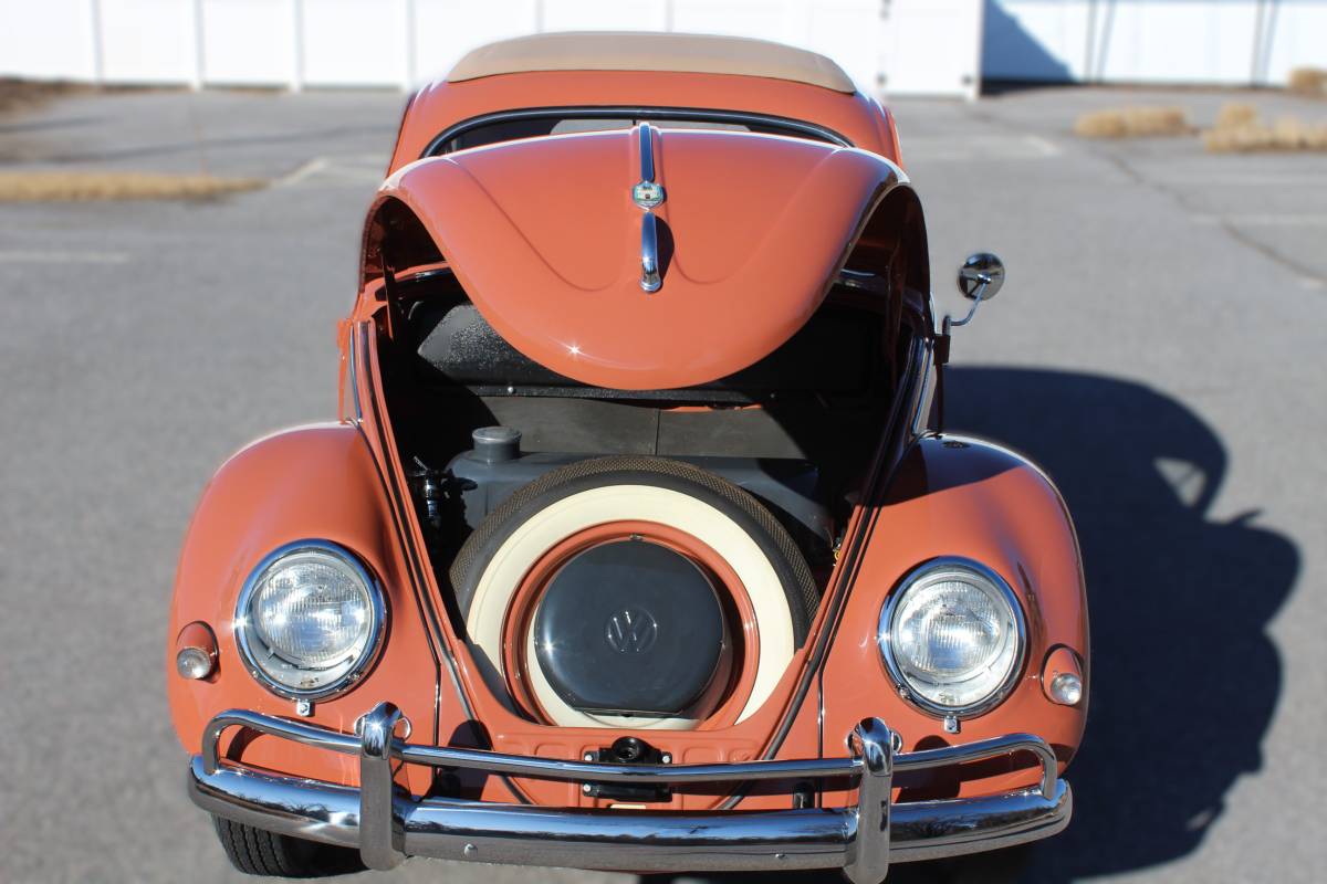 Volkswagen-Beetle-1957-5