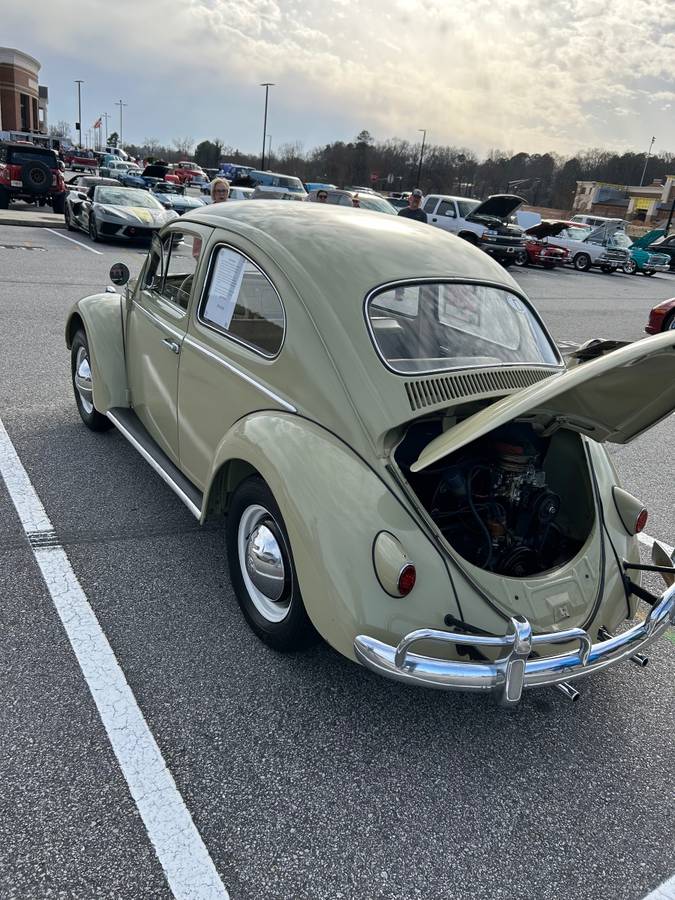 Volkswagen-Beetle-1960-12