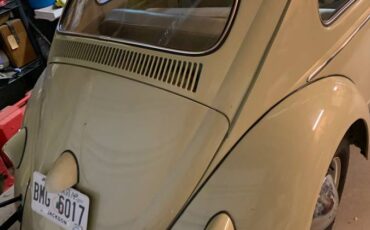 Volkswagen-Beetle-1960-4