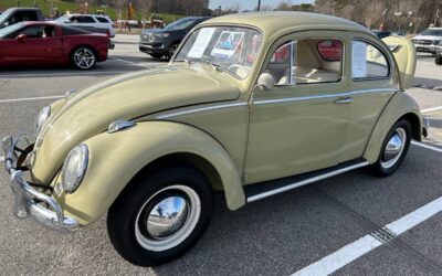 Volkswagen Beetle  1960