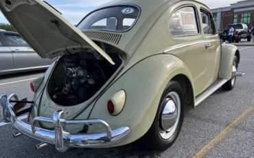 Volkswagen-Beetle-1960-5