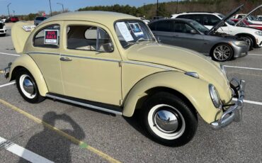 Volkswagen-Beetle-1960-6