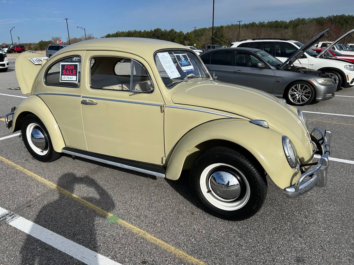 Volkswagen-Beetle-1960-6