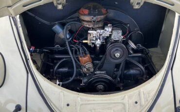 Volkswagen-Beetle-1960-8