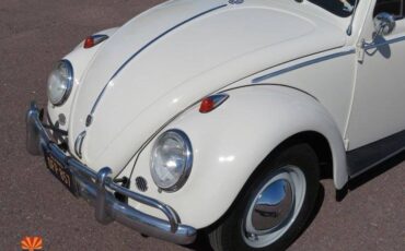 Volkswagen-Beetle-1962-12