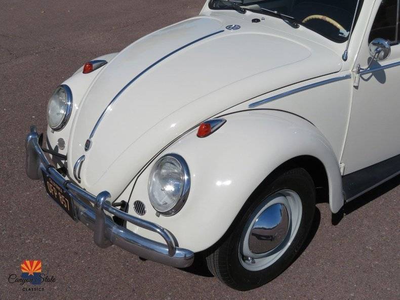 Volkswagen-Beetle-1962-12