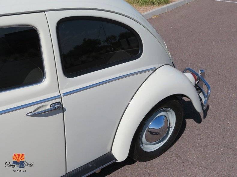 Volkswagen-Beetle-1962-14