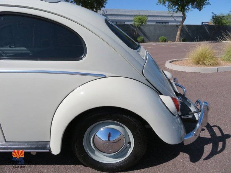 Volkswagen-Beetle-1962-19