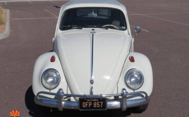 Volkswagen-Beetle-1962-20