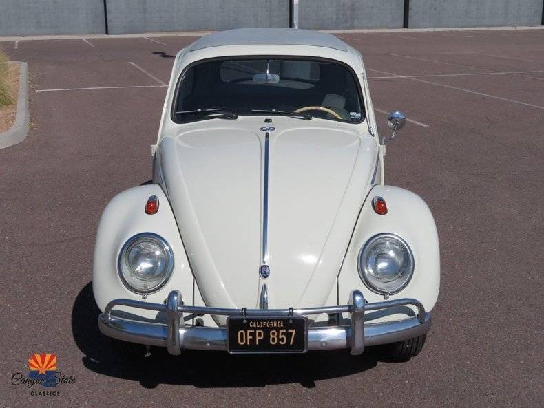 Volkswagen-Beetle-1962-20