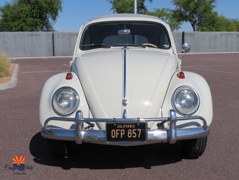 Volkswagen-Beetle-1962-21