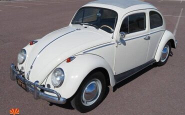 Volkswagen-Beetle-1962-6