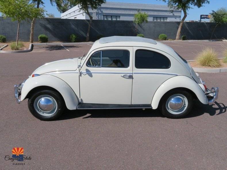 Volkswagen-Beetle-1962-8
