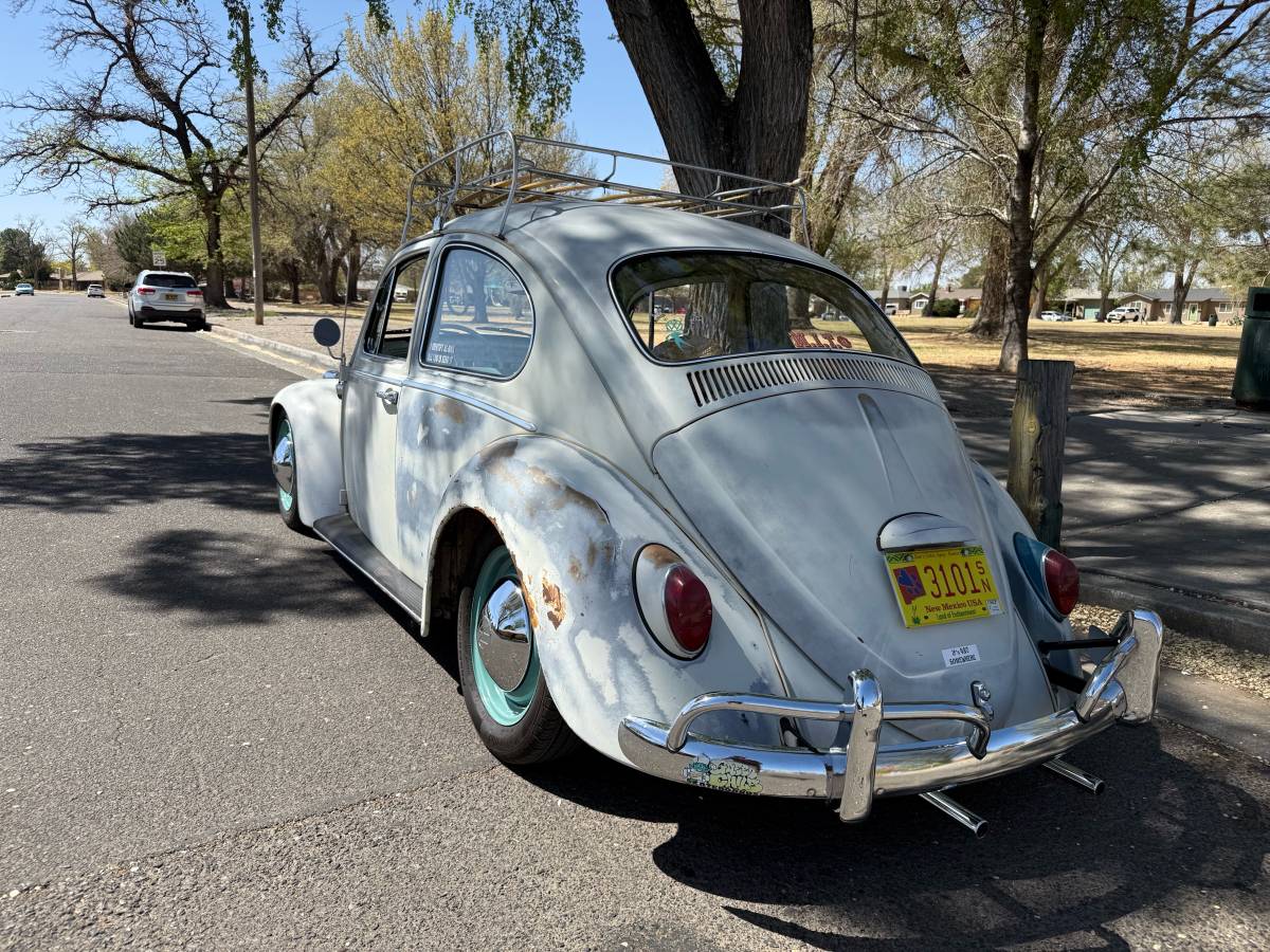 Volkswagen-Beetle-1965-1