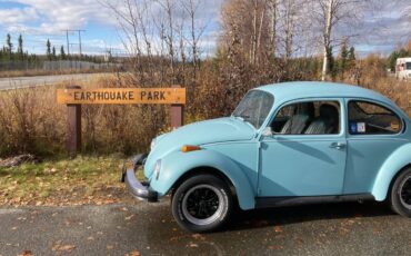 Volkswagen-Beetle-1974-blue-1