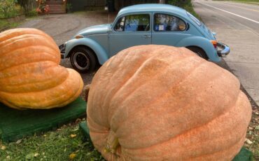 Volkswagen-Beetle-1974-blue-2