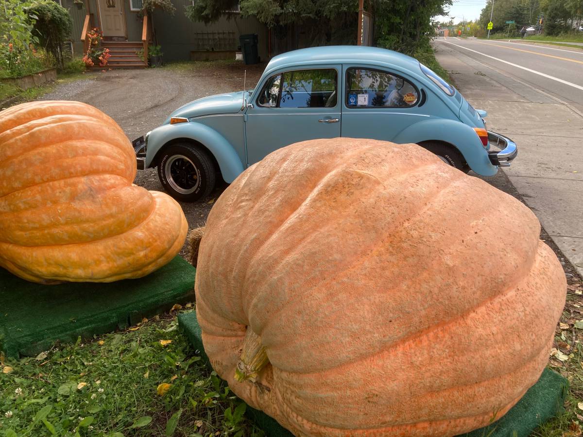 Volkswagen-Beetle-1974-blue-2