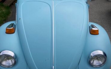 Volkswagen-Beetle-1974-blue