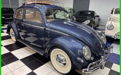 Volkswagen Beetle - Classic 1956