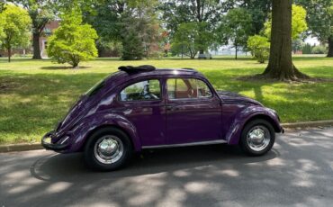 Volkswagen-Beetle-Classic-1963-Ragtop-3