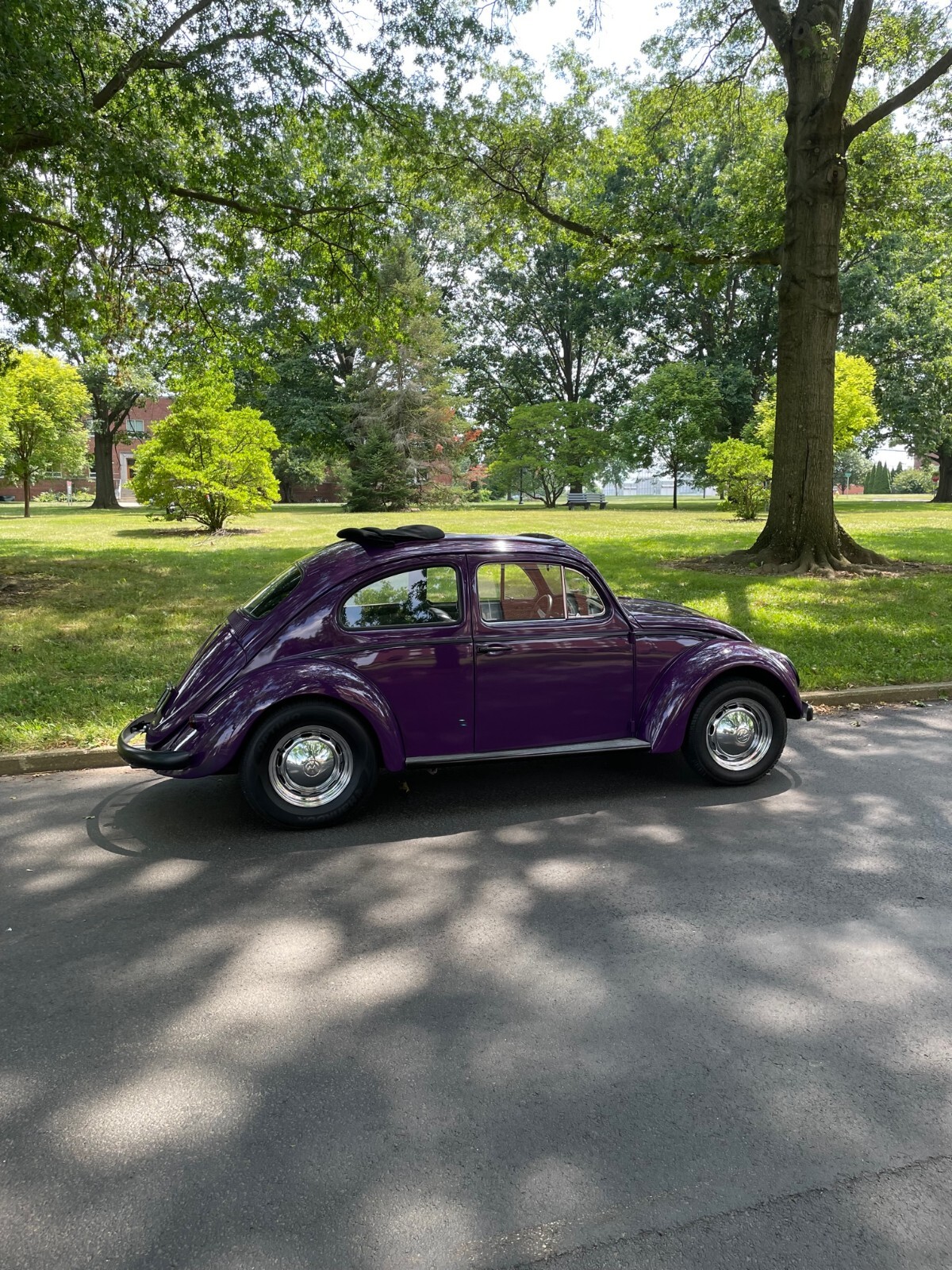 Volkswagen-Beetle-Classic-1963-Ragtop-3