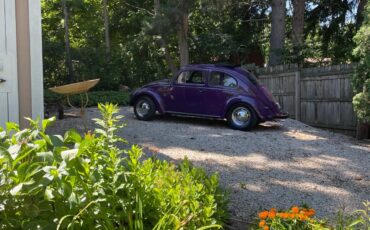 Volkswagen-Beetle-Classic-1963-Ragtop-5