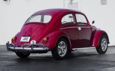Volkswagen-Beetle-Classic-1964-10