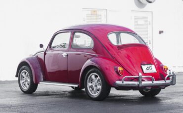 Volkswagen-Beetle-Classic-1964-11