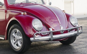 Volkswagen-Beetle-Classic-1964-12