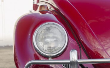 Volkswagen-Beetle-Classic-1964-15