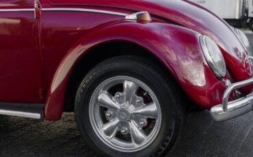 Volkswagen-Beetle-Classic-1964-16