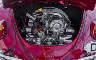 Volkswagen-Beetle-Classic-1964-22