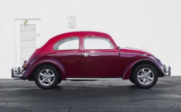 Volkswagen-Beetle-Classic-1964-3