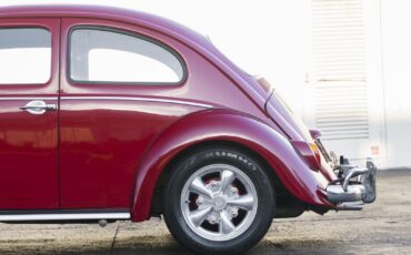 Volkswagen-Beetle-Classic-1964-4