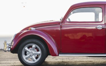 Volkswagen-Beetle-Classic-1964-5