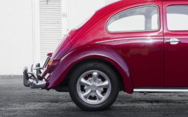 Volkswagen-Beetle-Classic-1964-6