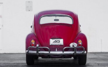Volkswagen-Beetle-Classic-1964-9