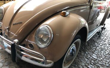 Volkswagen-Beetle-Classic-1969-Sedan-1