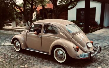 Volkswagen-Beetle-Classic-1969-Sedan-2