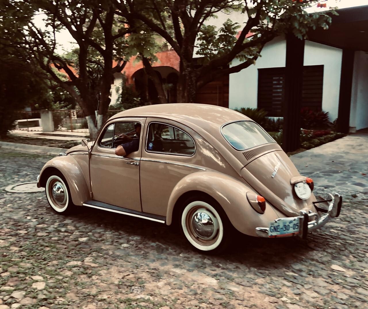 Volkswagen-Beetle-Classic-1969-Sedan-2