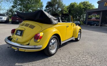 Volkswagen-Beetle-Classic-1971-Convertible-2