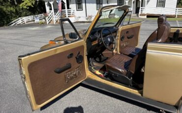 Volkswagen-Beetle-Classic-1974-Convertible-10