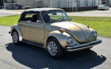 Volkswagen-Beetle-Classic-1974-Convertible-2