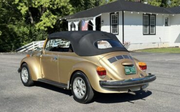 Volkswagen-Beetle-Classic-1974-Convertible-6
