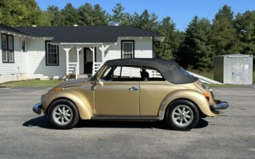 Volkswagen-Beetle-Classic-1974-Convertible-7
